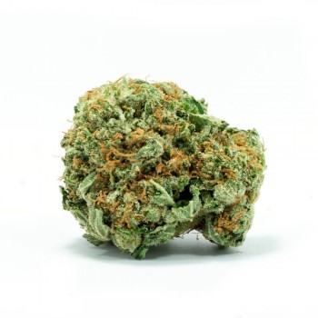 Rockstar OG